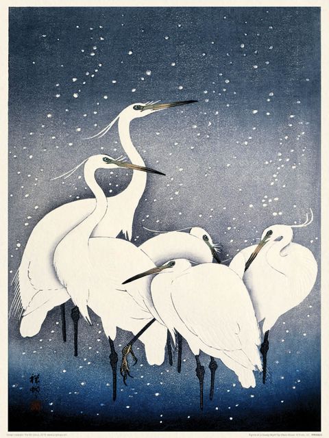 Egrets on a Snowy Night - reprodukcja