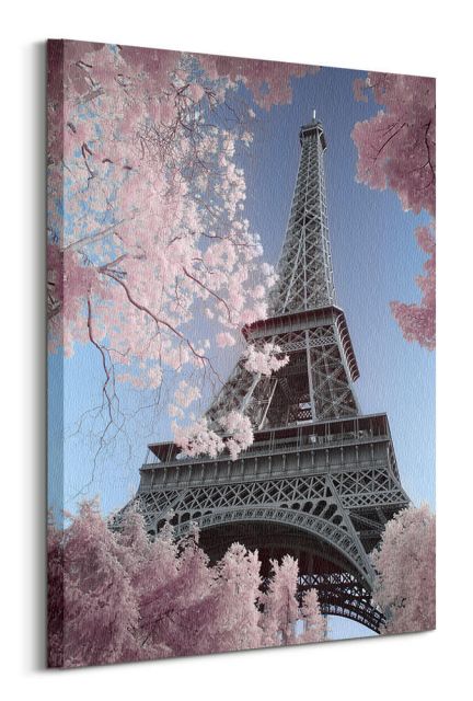 Eiffel Tower Infrared - obraz na płótnie