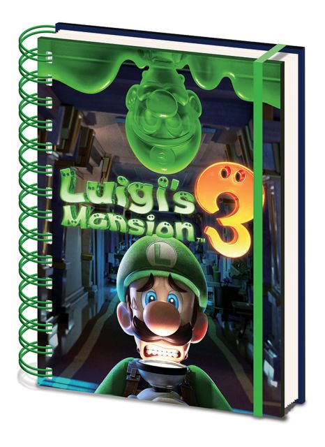 Luigi's Mansion 3 Gooigi - notes A5
