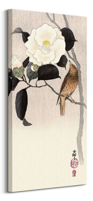 Songbird and Flowering Camellia - obraz na płótnie