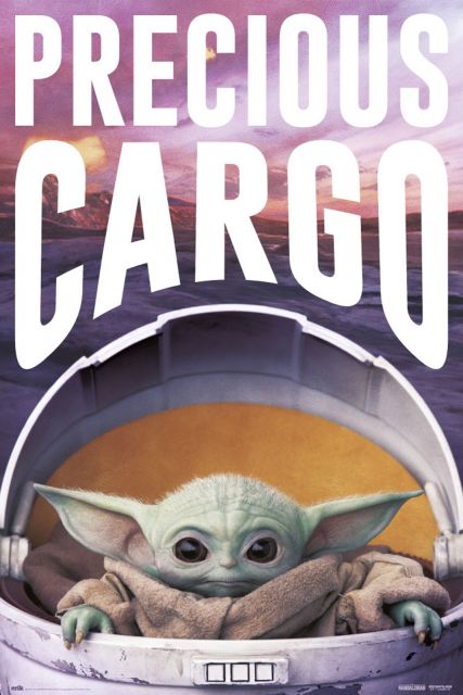 Star Wars The Mandalorian Precious Cargo - plakat