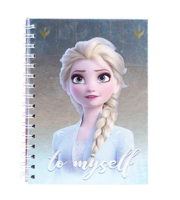 Frozen 2 Sisters - notes A5