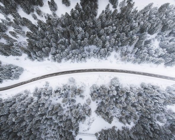 Droga przez zaśnieżony las - plakat