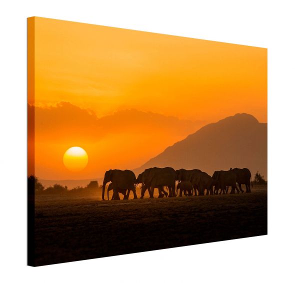 Amboseli Sunset - obraz na płótnie