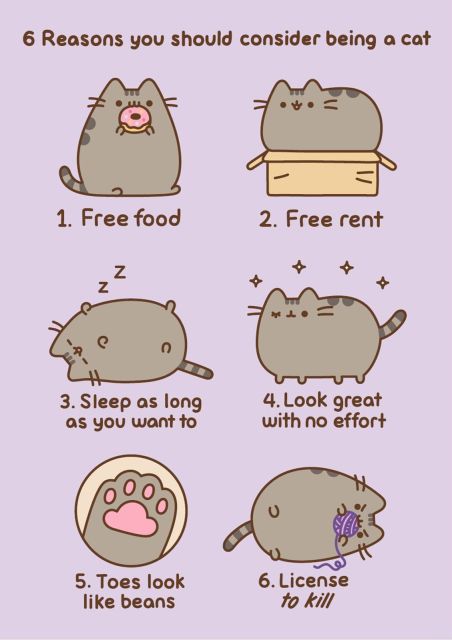 Pusheen Reasons To Be A Cat - pocztówki