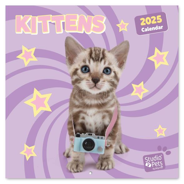 Studio Pets Kittens - kalendarz 2025