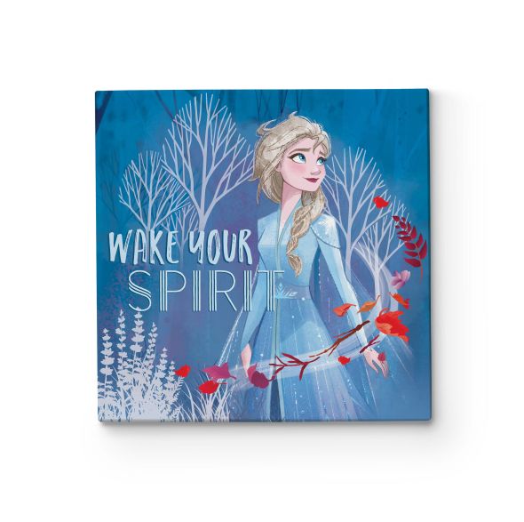 Frozen 2 Wake Your Spirit Elsa obraz na płótnie