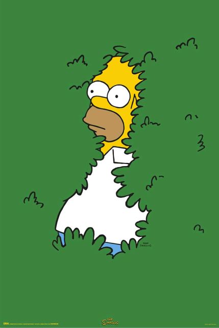 The Simpsons Homer Bush - plakat