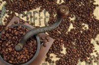Old Coffee Grinder - fototapeta