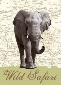 Dzikie safari (Słoń) - fototapeta
