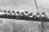 plakat robotników na wysokości na manhattanie w wersji z małpami