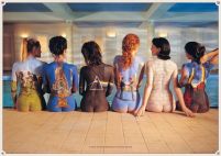 plakat Pink Floyd back z dziewczynami wymalowanymi farbami na gołym ciele