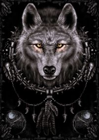 plakat z groźnym wilkiem