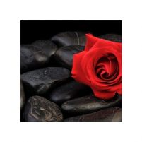 Róża na kamieniach - reprodukcja