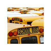 New York, School Bus - reprodukcja