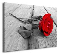 Róża na Pomoście - Obraz na płótnie