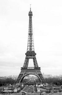Paryż, Wieża Eiffel - fototapeta