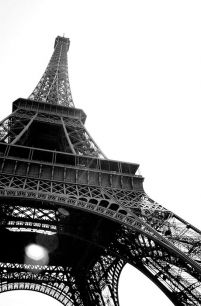 Wieża Eiffel, Paryż - fototapeta