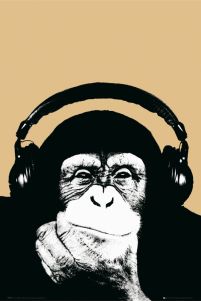 plakat z małpą w słuchawkach Steez monkee