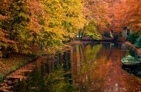 Jeziorko w lesie, jesień - fototapeta