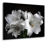 perspektywa obrazu na płótnie z białymi liliami na czarnym tle