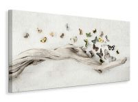 Drift of Butterflies - obraz na płótnie