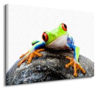 Żaba na Kamieniu - Obraz na płótnie