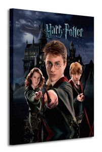 Obraz przedstawia postacie Rona, Hermione i Harrego Pottera