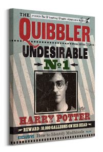 Harry Potter (Quibbler) - Obraz