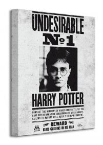 plakat z filmu Harry Potter na płótnie