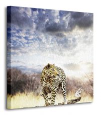 Leopard - Obraz na płótnie