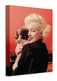 Marilyn Monroe pies - obraz