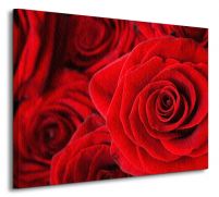 perspektywa canvasu z czerwonymi różami
