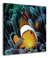 perspektywa obrazu na płótnie z pomarańczową morską rybką w białe paski
