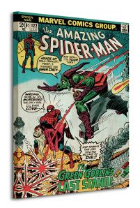 Obraz na płótnie przedstawia Spidermana z zielonym Goblinem