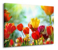 Wiosenne kwiaty - Obraz na płótnie