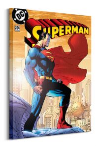 Superman (204)