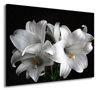 perspektywa canvasu z białymi liliami na czarnym tle