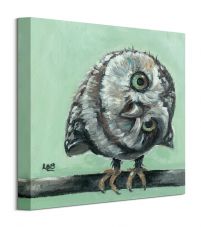 Obraz autorstwa Louise Brown zatytułowany Little Owl o wymiarach 30x30 cm