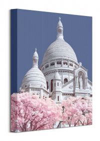 Obraz autorstwa David Clapp zatytułowany Sacre Coeur Infrared, Paris o wymiarach 30x40 cm