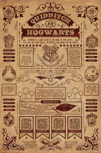 plakaty Quidditch At Hogwarts z filmu Harry Potter