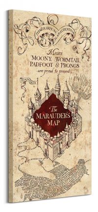 Harry Potter (The Marauders Map) - Obraz na płótnie