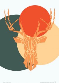 Deer colour - plakat A4