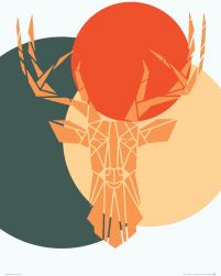 Deer colour - plakat