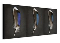 Sapphire Mallard Feather Triptych - obraz na płótnie