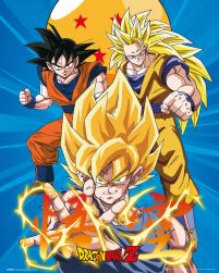Dragon Ball Z 3 Gokus - plakat filmowy