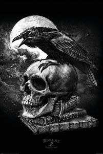 Alchemy (Poe's Raven) - plakat