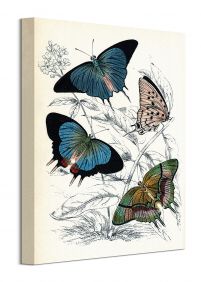 Butterflies II - obraz na płótnie