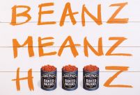 Heinz (Beanz Meanz Heinz) - obraz na drewnie