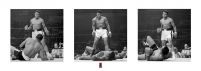 Muhammad Ali (Liston Triptych) - reprodukcja